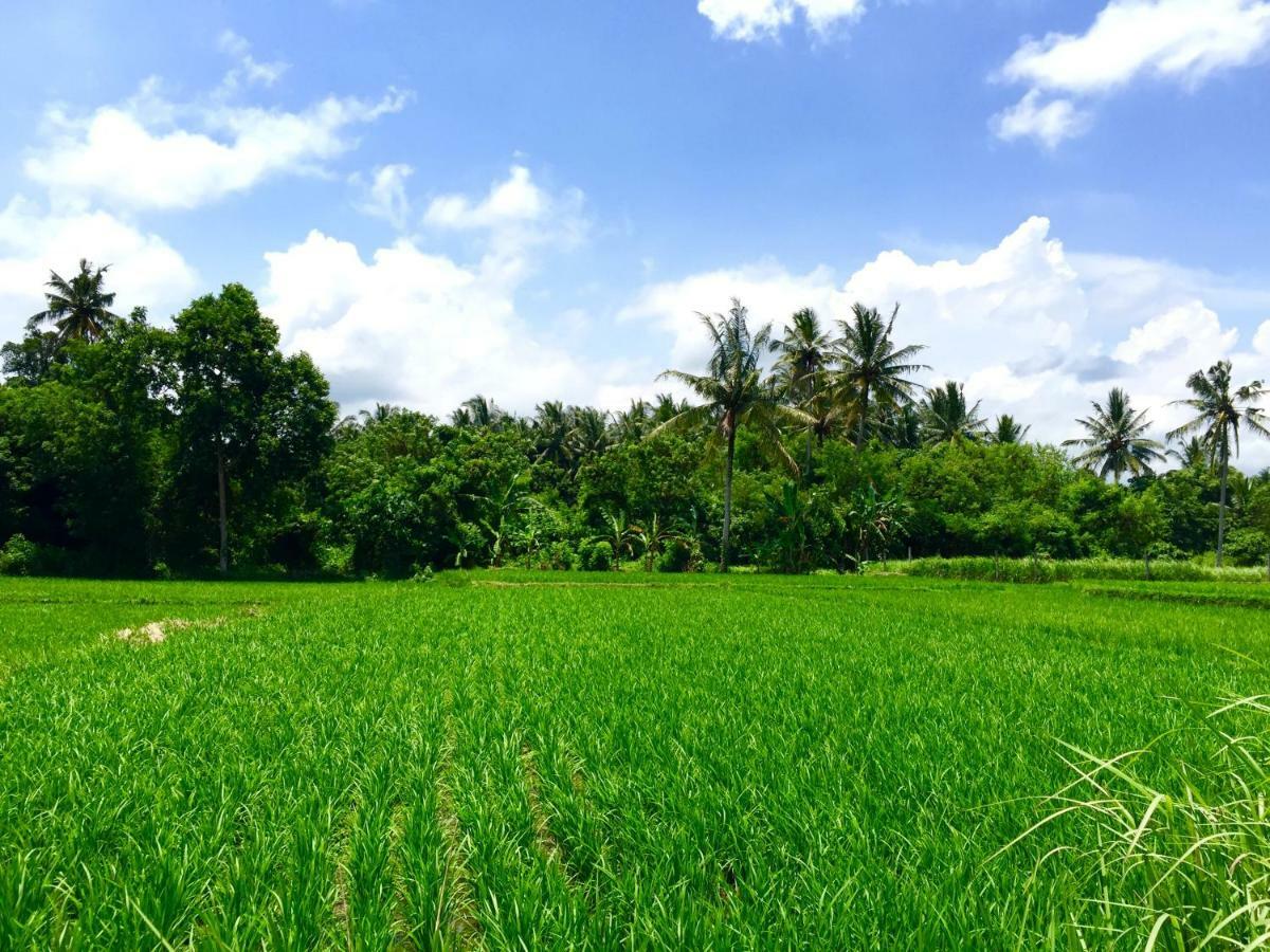 Villa Santai Ubud Esterno foto