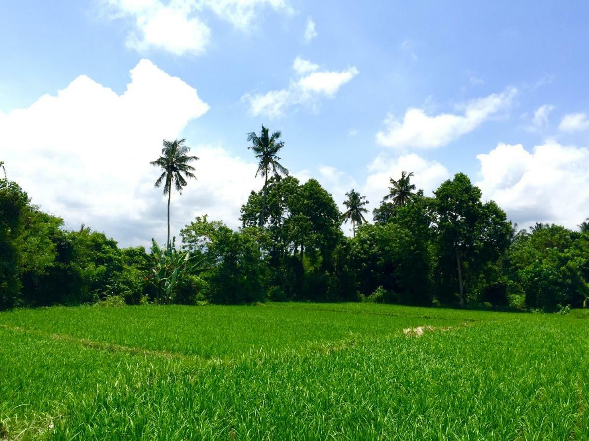 Villa Santai Ubud Esterno foto